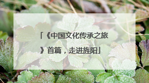 《中国文化传承之旅》首篇，走进旌阳