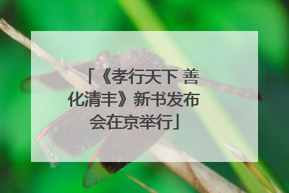 《孝行天下 善化清丰》新书发布会在京举行