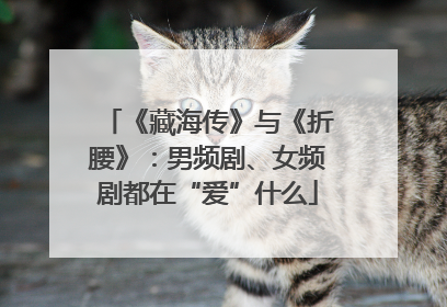 《藏海传》与《折腰》：男频剧、女频剧都在“爱”什么