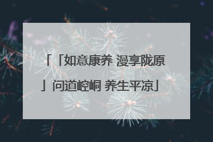 「如意康养 漫享陇原」问道崆峒 养生平凉