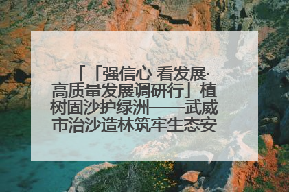 「强信心 看发展·高质量发展调研行」植树固沙护绿洲——武威市治沙造林筑牢生态安全屏障见闻