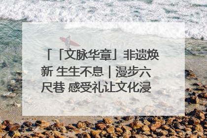 「文脉华章」非遗焕新 生生不息｜漫步六尺巷 感受礼让文化浸润的“巷”往生活