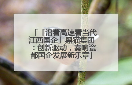 「沿着高速看当代江西国企」黑猫集团：创新驱动，奏响瓷都国企发展新乐章