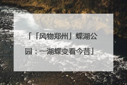 「风物郑州」蝶湖公园：一湖蝶变看今昔