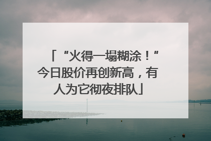 “火得一塌糊涂！”今日股价再创新高，有人为它彻夜排队
