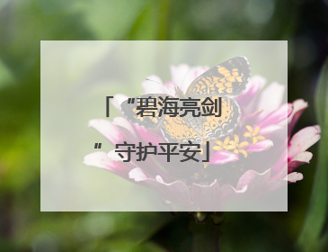 “碧海亮剑”守护平安
