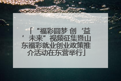 “福彩圆梦 创‘益’未来”视频征集暨山东福彩就业创业政策推介活动在东营举行