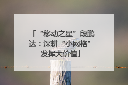 “移动之星”段鹏达：深耕“小网格” 发挥大价值