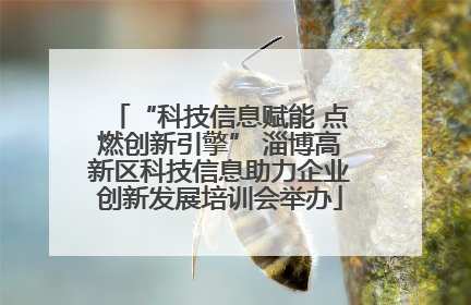“科技信息赋能 点燃创新引擎” 淄博高新区科技信息助力企业创新发展培训会举办