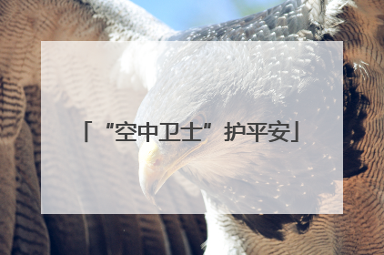 “空中卫士”护平安