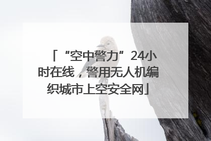 “空中警力”24小时在线，警用无人机编织城市上空安全网