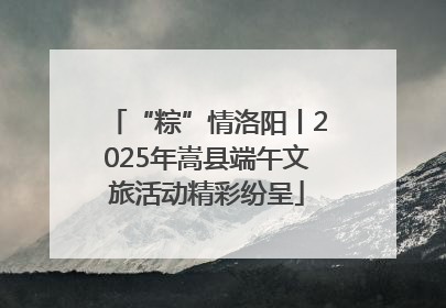 “粽”情洛阳丨2025年嵩县端午文旅活动精彩纷呈