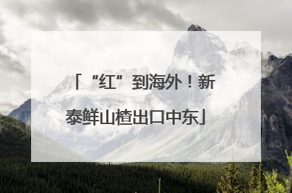 “红”到海外！新泰鲜山楂出口中东