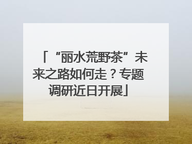 “丽水荒野茶”未来之路如何走？专题调研近日开展