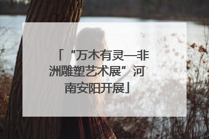 “万木有灵—非洲雕塑艺术展”河南安阳开展