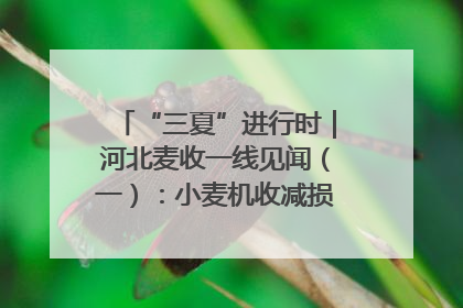 “三夏”进行时｜河北麦收一线见闻（一）：小麦机收减损“竞技” 农机高手麦田“过招”