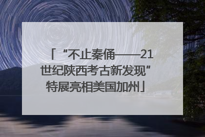 “不止秦俑——21世纪陕西考古新发现”特展亮相美国加州