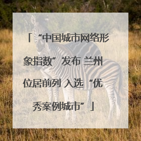 “中国城市网络形象指数”发布 兰州位居前列 入选“优秀案例城市”