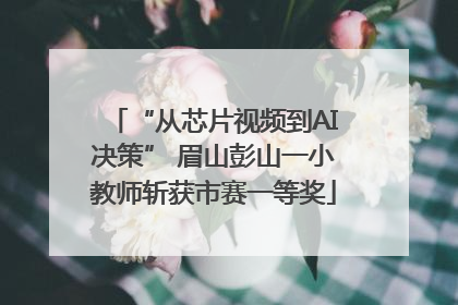 “从芯片视频到AI决策” 眉山彭山一小教师斩获市赛一等奖