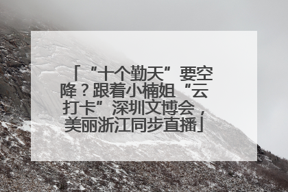 “十个勤天”要空降？跟着小楠姐“云打卡”深圳文博会，美丽浙江同步直播