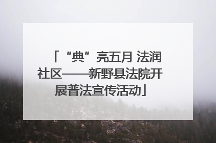 “典”亮五月 法润社区——新野县法院开展普法宣传活动
