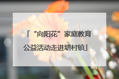 “向阳花”家庭教育公益活动走进塘村镇