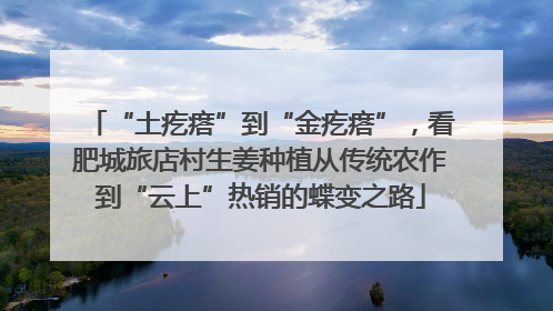 “土疙瘩”到“金疙瘩”，看肥城旅店村生姜种植从传统农作到“云上”热销的蝶变之路