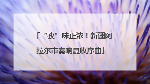 “孜”味正浓！新疆阿拉尔市奏响夏收序曲