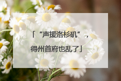 “声援洛杉矶”，得州首府也乱了