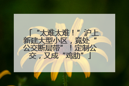 “太难太难！”沪上新建大型小区，竟处“公交断层带”！定制公交，又成“鸡肋”