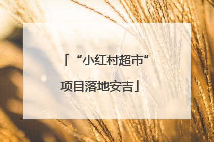 “小红村超市”项目落地安吉
