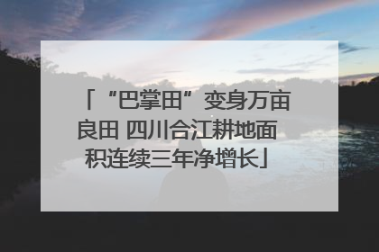 “巴掌田”变身万亩良田 四川合江耕地面积连续三年净增长