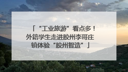 “工业旅游”看点多！外籍学生走进胶州李哥庄镇体验“胶州智造”