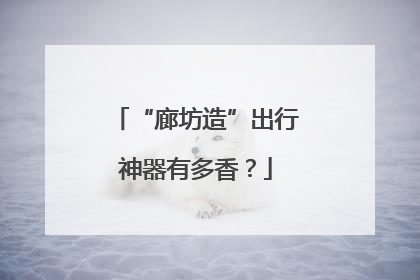 “廊坊造”出行神器有多香？