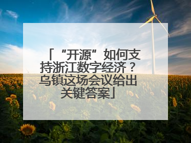 “开源”如何支持浙江数字经济？乌镇这场会议给出关键答案