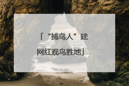 “捕鸟人”建网红观鸟胜地