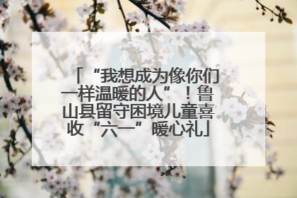 “我想成为像你们一样温暖的人”！鲁山县留守困境儿童喜收“六一”暖心礼