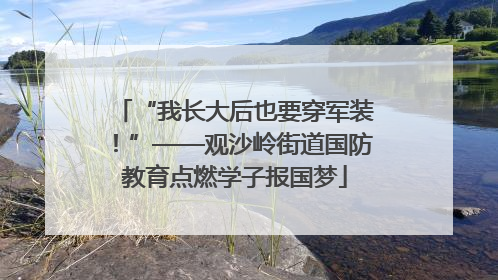 “我长大后也要穿军装！”——观沙岭街道国防教育点燃学子报国梦