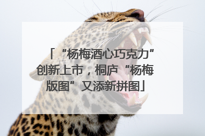 “杨梅酒心巧克力”创新上市，桐庐“杨梅版图”又添新拼图
