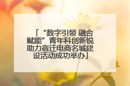 “数字引领 融合赋能”青年科创新锐助力宿迁电商名城建设活动成功举办
