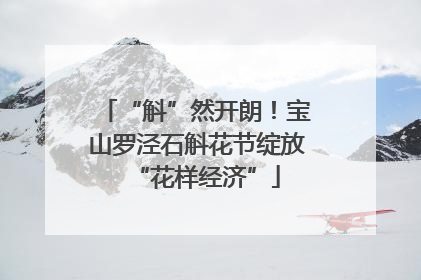 “斛”然开朗！宝山罗泾石斛花节绽放“花样经济”