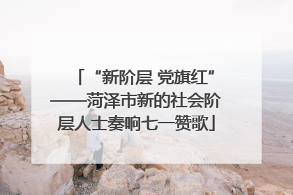 “新阶层 党旗红”——菏泽市新的社会阶层人士奏响七一赞歌
