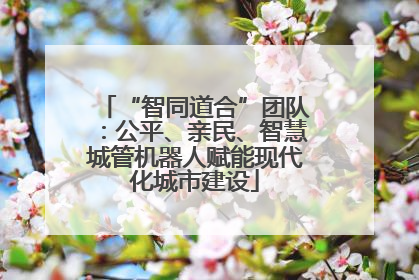 “智同道合”团队：公平、亲民、智慧城管机器人赋能现代化城市建设
