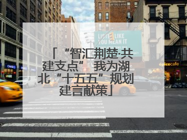 “智汇荆楚·共建支点” 我为湖北“十五五”规划建言献策