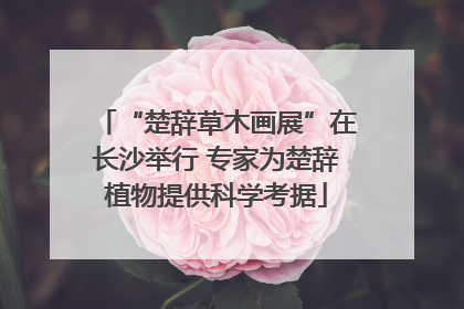 “楚辞草木画展”在长沙举行 专家为楚辞植物提供科学考据