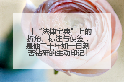 “法律宝典”上的折角、标注与便签，是他二十年如一日刻苦钻研的生动印记