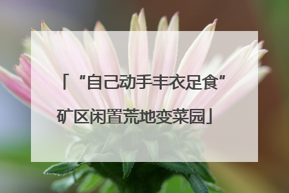 “自己动手丰衣足食”矿区闲置荒地变菜园