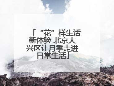 “花”样生活新体验 北京大兴区让月季走进日常生活