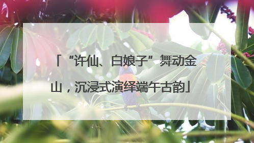“许仙、白娘子”舞动金山，沉浸式演绎端午古韵