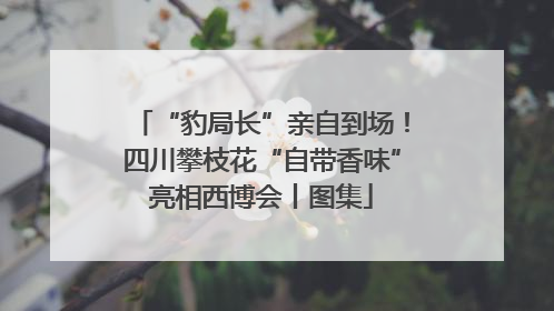 “豹局长”亲自到场！四川攀枝花“自带香味”亮相西博会丨图集